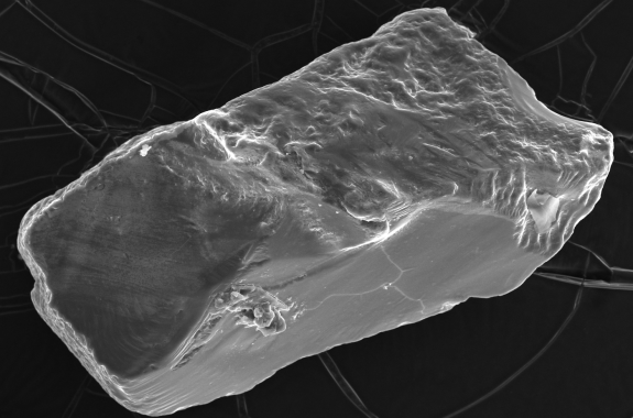 A very enlarged photo of a grain of sand.