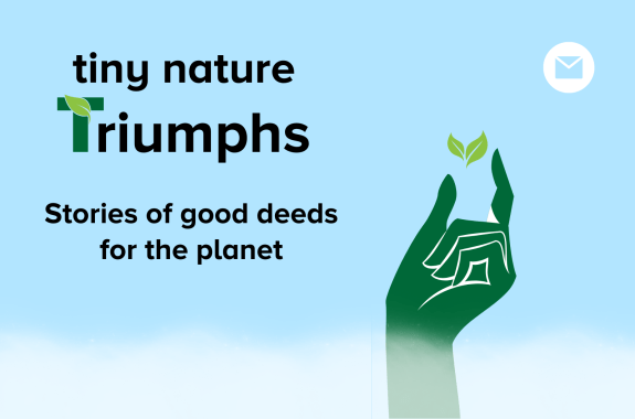 pale blue image with a green hand holding a few small leaves, and text with the Tiny Nature Triumphs title