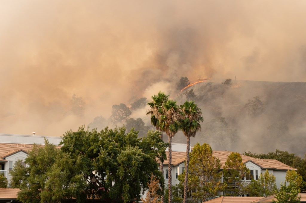 Palm trees on a residential street in the foreground, a burning wildfire on a hill in the background.