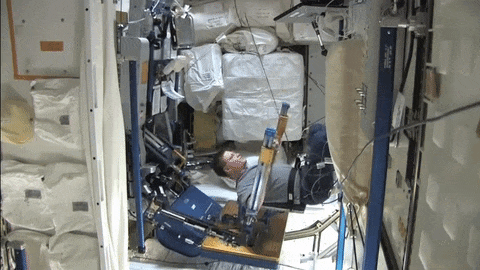 Un astronauta hace sentadillas con la máquina ARED.