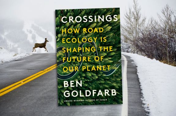 Road Ecologists Want You To Fall In Love With Infrastructure