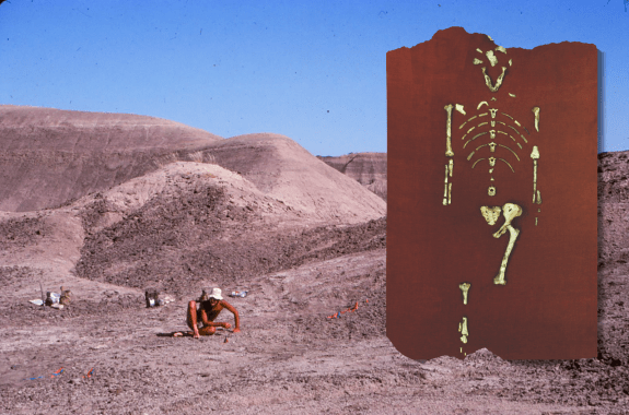 50 Years Of Science With Lucy, Our Famous Early Ancestor