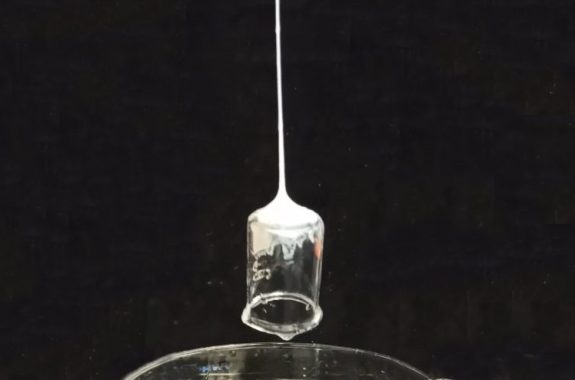 A liquid stream of silk solution solidifies to a fiber, adheres to and lifts a glass laboratory beaker.