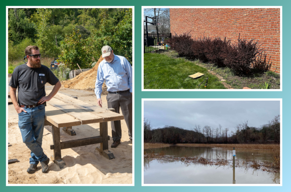 A collage of images of natural environments and a wood workshop.