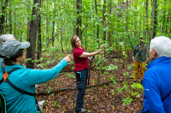 A person pointing to leaves in a lush forest in front of a group