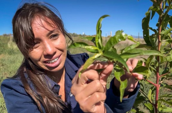 A woman holding the end of a tall green plant