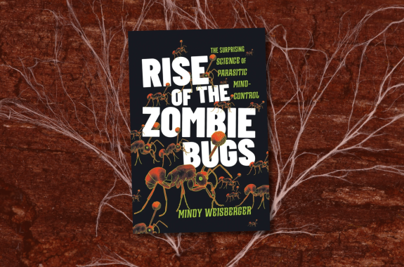 rise of the zombie bugs book cover