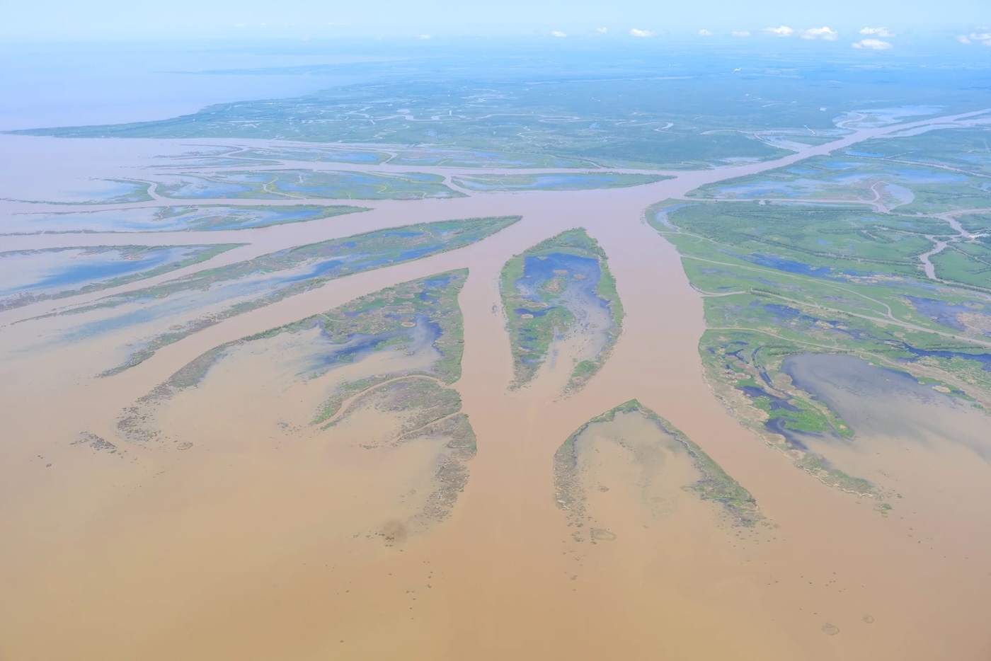 An aerial view of a river delta