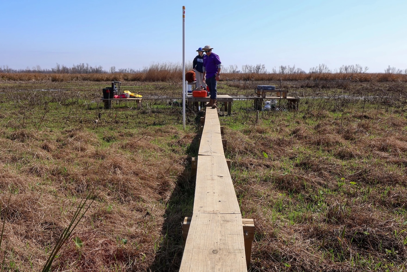 Two people standing on a plank over a bunch of grass