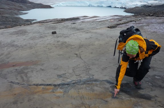 A person standing on a rocky cliff pointing at the ground, where a skeletal fossil of an ichthyosaur is embedded in the rock surface.