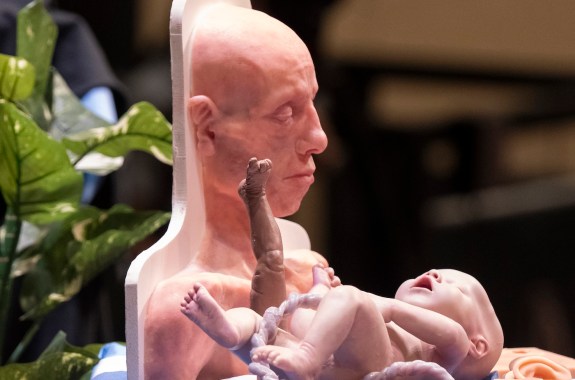 Realistic replicas of human body parts and a baby