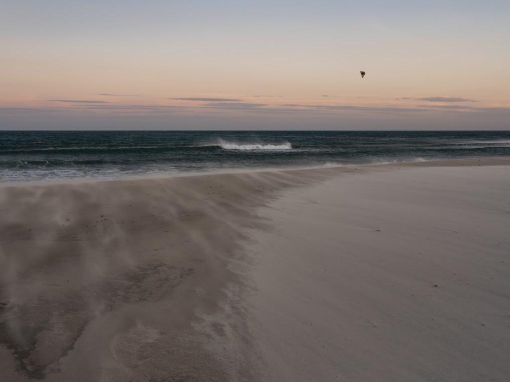 A butterfly flying over a beach