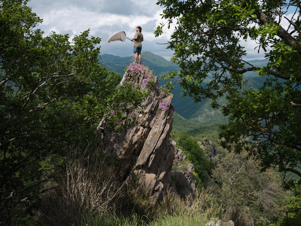 A man standing on a rock with a butterfly net in a gorgeous lush valley