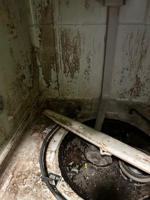 A bunch of black goop inside a dishwasher
