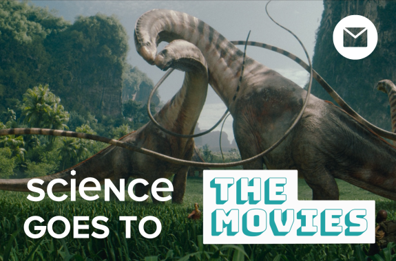 Two very very tall dinosaurs nuzzling their heads and long necks against each other