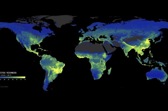 A world map showing areas rich in mycorrhizal fungi.