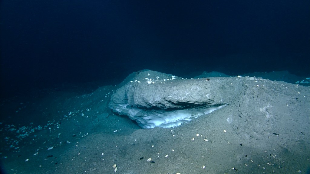 A rounded gray mound on the seafloor with an overhang coated below with a white jagged solid.