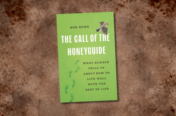 How An African Bird Forged A Relationship With Humans